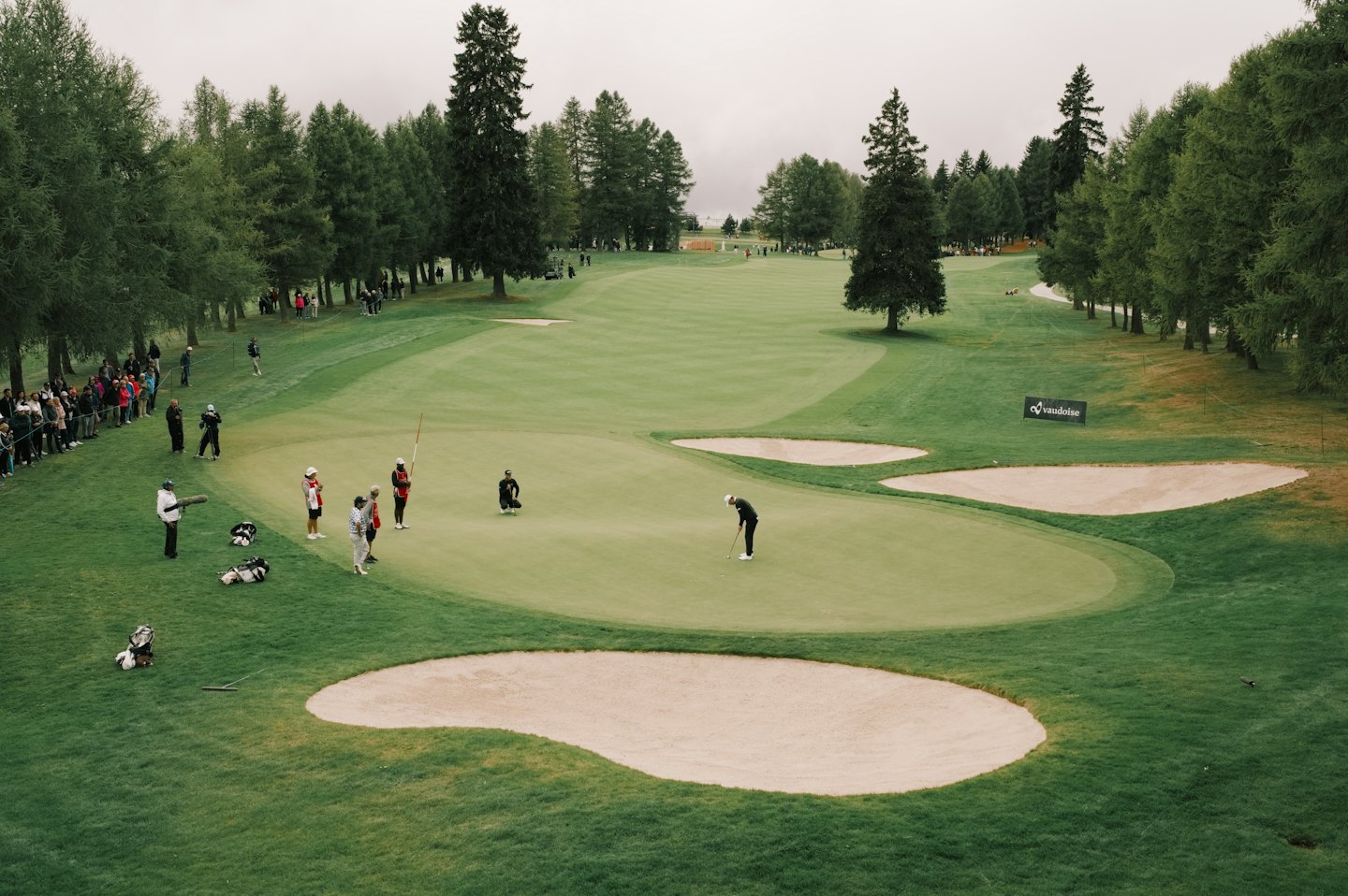 En golfspiller legger på greenen under en profesjonell turnering.